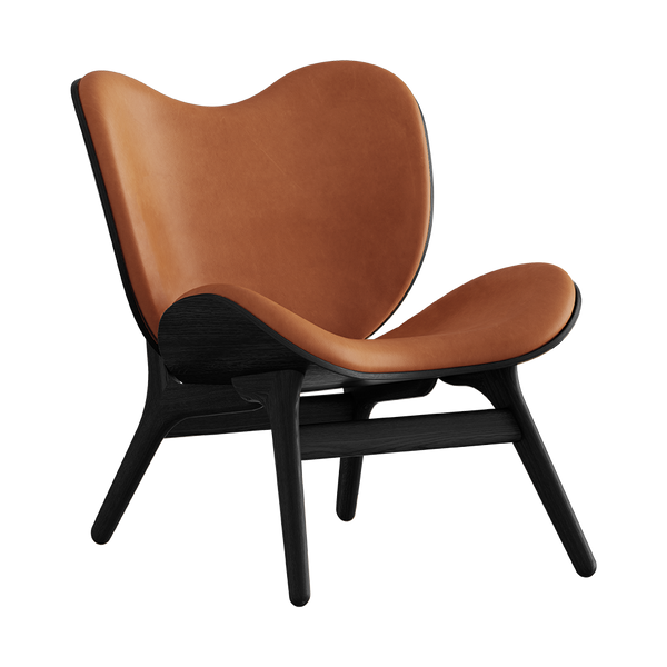 5102+5501-DS21002-NS